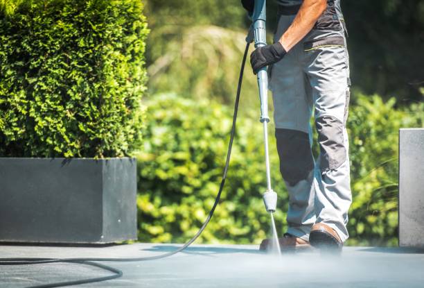 Best Solar Panel Cleaning  in Universal City, TX